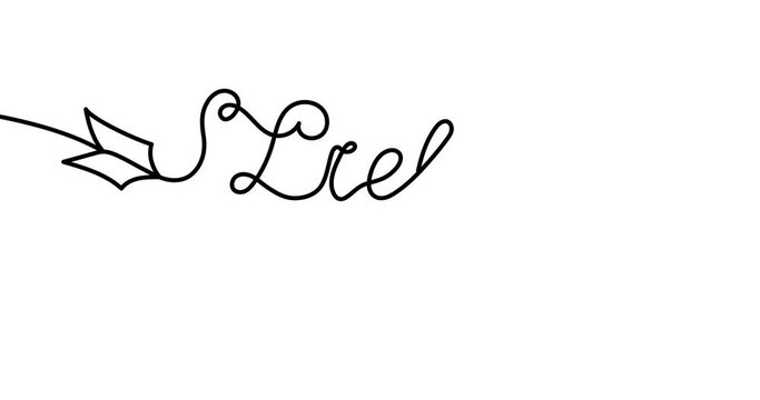 Animated illustration. Continuous one line heart and liebe (love in Deutsch) in the form of an arrow. Hand-drawn minimalist style. 4K video