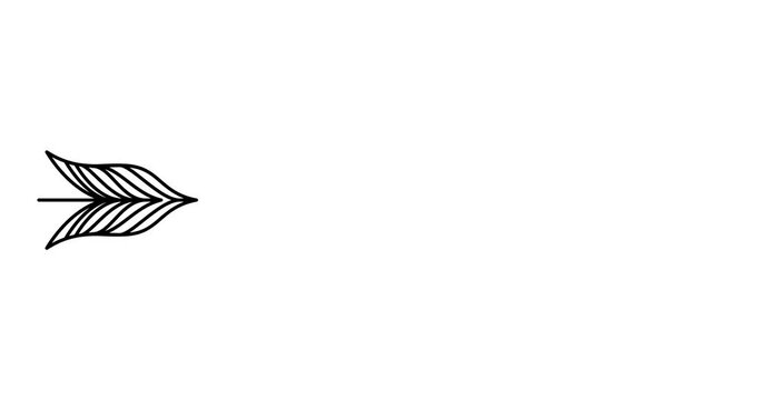 Animated illustration. Continuous one line lettering amore (love in Italian) in the form of an arrow. Hand-drawn minimalist style. 4K video