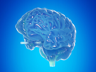 3d rendered illustration of a blue brain