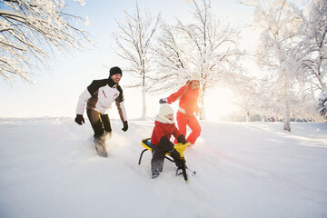 Dad and mom in winter take their son down from a white snowy mountain on a sled.