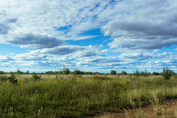 Fototapeta premium clouds over the field