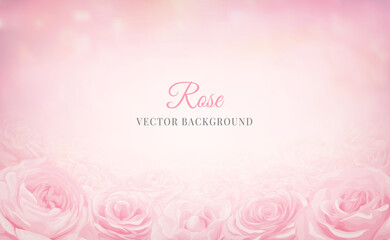 Beautiful Rose Flower background and blurred digital painted illustration for love wedding valentines day or arrangement invitation design greeting card