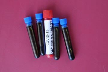 omicron variant corona virus blood test tube on red background 