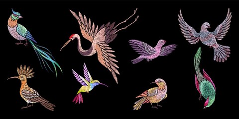 Embroidery birds. Stitch bird patches, embroidered oriental asian elements. Swallow, crane and hummingbird. Flying on wings, nowaday vector set
