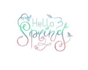 Hello spring lettering hand drawn mermaid flover leaf calligraphy