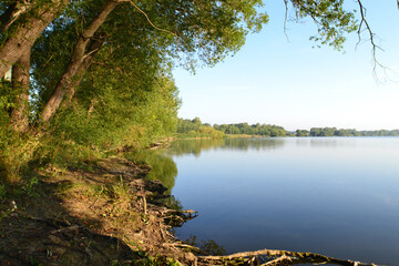 Lake with trees and coast on a sunny summer day