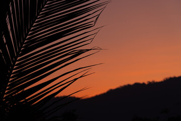 Colorful orange sunset sky over trees and mountains in a summer evening. Palm leaf on the foreground.
