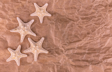 Starfish on crumpled paper background.Copy space.