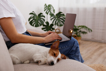 Portrait of young beautiful hipster woman working on a laptop with her adorable wire haired Jack Russel terrier puppy at home. Female with rough coated pup. Interior background, close up, copy space.