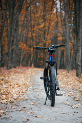 Fototapeta na wymiar rear wheel of a mountain bike. Mountain bike. stands on a forest road. concept of cycling, repair or breakage, sports, outdoor activities. bike on trail, rear wheel in focus. autumn Park