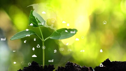 The earth with environment ecology sign hologram on natural background.