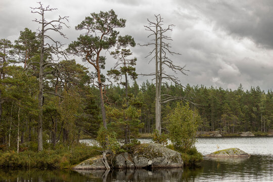 View of the lake in Tyresta national park, Sweden