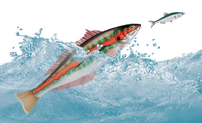 Fototapeta premium poisson, girelle, attaque, évasion, vague, aliment, frais, blanc, fruits de mer, brut, pêche, sauvage, mer, ailette, sain, queue, attraper, truite, tête, nature, argent, fraîcheur, eau, repas 