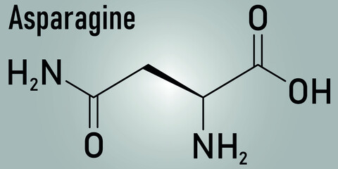 Asparagine or L-asparagine, 2-Amino-3-carbamoylpropanoic, Asn, N, amino acid molecule. Skeletal formula.