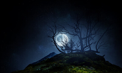 Spooky night image . Mixed media