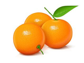 Mandarin. Tangerine. Sweet, ripe, fresh fruit. Isolated on white background. Eps10 vector illustration. - 478125704