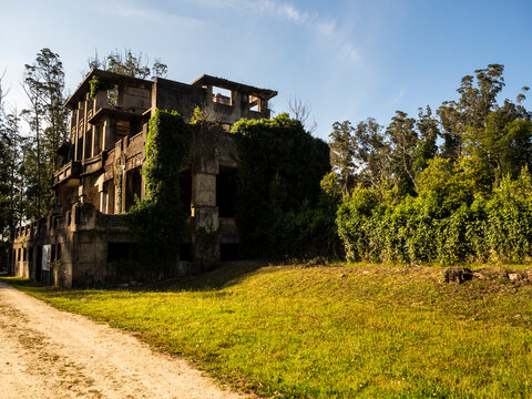imagen de un edificio abandonado entre la naturaleza 