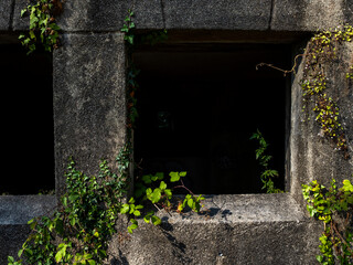 imagen de una ventana a una habitación muy oscura con las paredes de piedra y enredaderas pegadas...