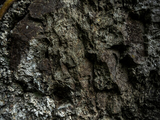 imagen textura piedra rugosa oscura