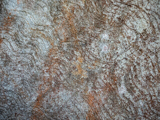 imagen textura pared de cemento rallado