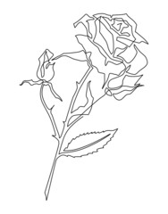 Rose flower on a stem. Continuous line drawing. Vector illustration
