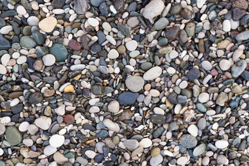 Multicolored wet pebbles, close-up view. Full frame image of colorful rounded stones. Natural organic background or texture, sea shore theme