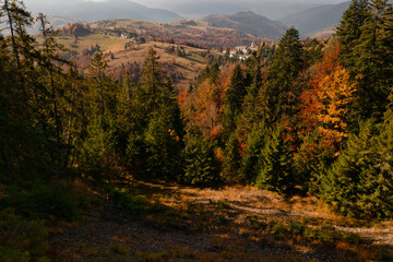 Mountain ridge with terracotta forests under cloudy sky