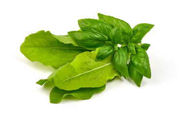 Fresh leaves of spinach, isolated on a white background.