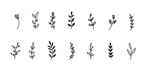 Floral elements set flowers leaves simple outline style Premium Vector
