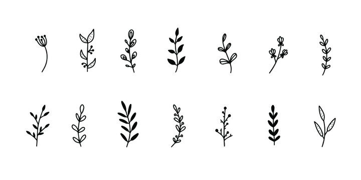 Free Simple Flower Outline, Download Free Simple Flower Outline png images,  Free ClipArts on Clipart Library