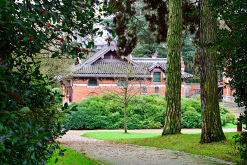 garden in the village