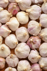 Garlic bulbs