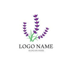 Obraz premium Fresh Lavender flower logo vector