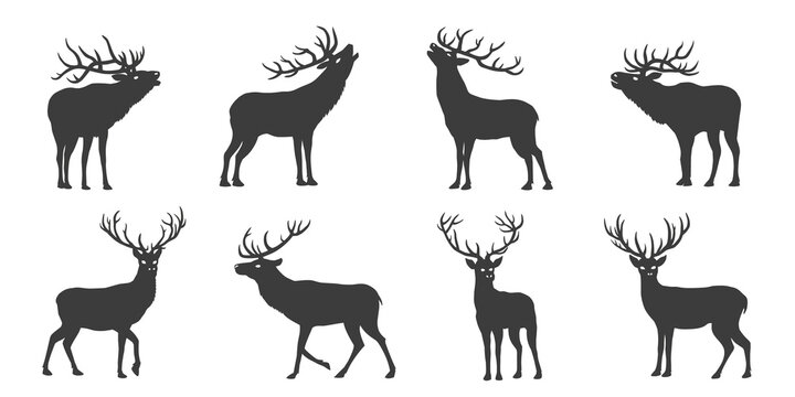 deer silhouettes 2021