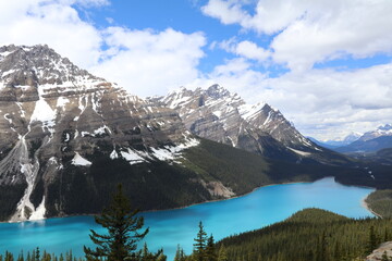 What a beautiful blue Peyto Lake. Wonderful road trip through Banff and Jasper national park in British Columbia, Canada. An amazing day in Vancouver. What a beautiful nature in Canada.