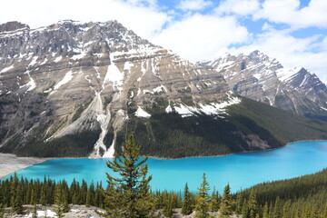 What a beautiful blue Peyto Lake. Wonderful road trip through Banff and Jasper national park in British Columbia, Canada. An amazing day in Vancouver. What a beautiful nature in Canada.