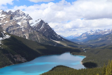 Fototapeta na wymiar What a beautiful blue Peyto Lake. Wonderful road trip through Banff and Jasper national park in British Columbia, Canada. An amazing day in Vancouver. What a beautiful nature in Canada.