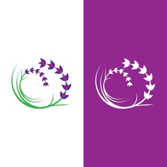 Fototapeta na wymiar Fresh Lavender flower logo vector