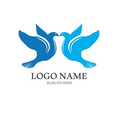 Dove bird logo vector design