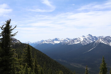 Wonderful road trip through Banff and Jasper national park in British Columbia, Canada. An amazing day in Vancouver. What a beautiful nature in Canada with so many animals and mountains.