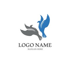 Dove bird logo vector design