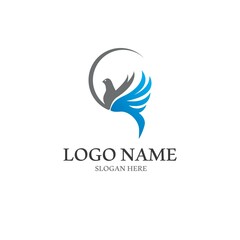Dove bird logo vector design