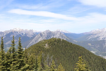Obraz premium Wonderful road trip through Banff and Jasper national park in British Columbia, Canada. An amazing day in Vancouver. What a beautiful nature in Canada with so many animals and mountains.