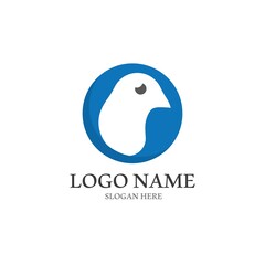 Dove bird logo vector design