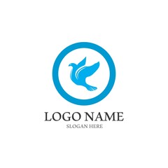 Dove bird logo vector design