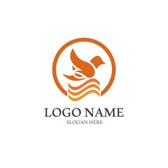 Dove bird logo vector design