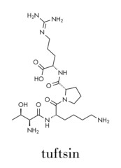 Tuftsin tetrapeptide molecule. Skeletal formula.