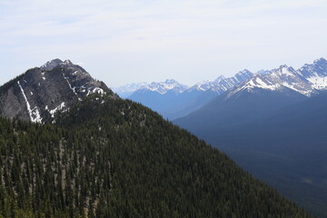 Wonderful road trip through Banff and Jasper national park in British Columbia, Canada. An amazing day in Vancouver. What a beautiful nature in Canada with so many animals and mountains.