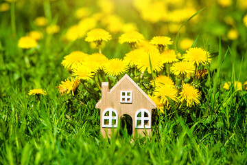  The symbol of the house stands among the yellow dandelions
