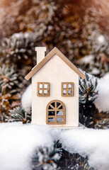 symbol of the house stands on a snow-covered fir branches
